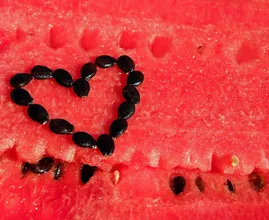 Qué pueden hacer las semillas de sandía por tu cuerpo, en lugar de tirarlas