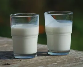 This is why you're better off eating full-fat dairy products instead of low-fat ones!