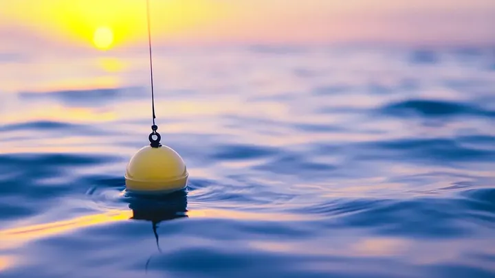 Strandbesucher sehen Hunderte von mysteriösen Eiern, die an Land gespült werden - was dann folgt, macht sie sprachlos