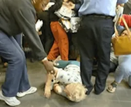 Un'anziana donna viene calpestata mentre cerca di comprare un regalo per il nipote durante il Black Friday
