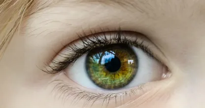 Trillend ooglid? Het zou door deze 6 dingen kunnen komen