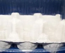 Mini Gewächshaus für kleine Pflänzchen selbstgemacht
