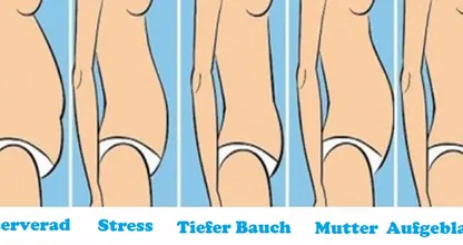 Dein Bauchtyp verrät dir so manches darüber wie und wodurch du abnimmst.