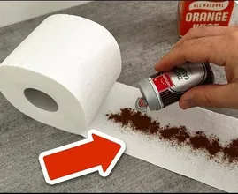 What Happens When You Add Cinnamon to Toilet Paper? Why Some People Are Doing It