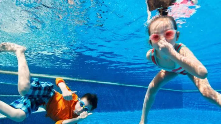 Une maman entend un plongeon dans la piscine et découvre un énorme animal à l'intérieur !