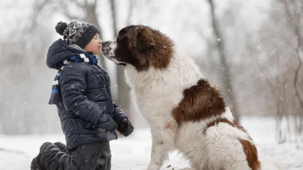Deze fotoserie moet je hebben gezien: "Kleine kinderen en hun grote honden!"