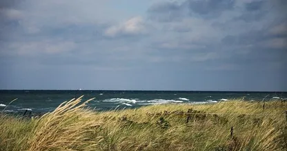 Herfststorm op komst: ‘Wind kan oplopen tot windkracht 8’