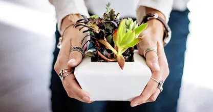 Deze twee sterrenbeelden zorgen het allerbest voor hun kamerplanten