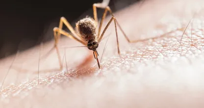6 tekenen die erop kunnen wijzen dat je allergisch bent voor muggenbeten
