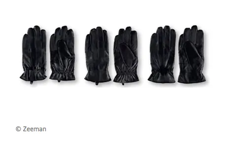 handschoenen zeeman