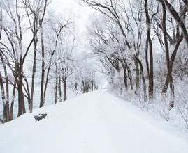 Pak de handschoenen: het wordt koud dit weekend met kans op sneeuw