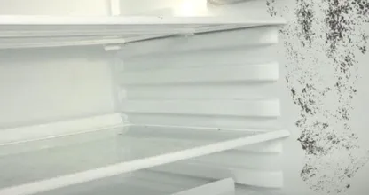 Schimmel im Kühlschrank? Mit diesem schnellen Trick bist du ihn sofort los.