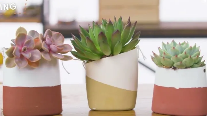 DIY: tover je plastic flessen om tot leuke bloempotten