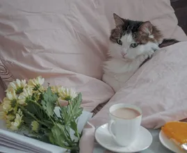 Met je huisdieren slapen in bed? Zo ongezond is dat voor je