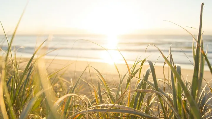 Weerbericht: eind deze week zomers weer op komst