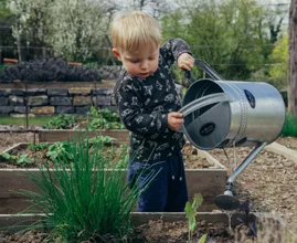 Eine Studie zeigt, dass Gartenarbeit das Krebsrisiko senken kann