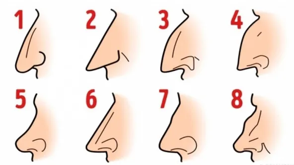 ¿Qué tipo de nariz tienes? ¡ESTO es lo que dice acerca de tu personalidad!