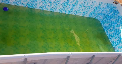 Maak groen zwembadwater helder in drie eenvoudige stappen!
