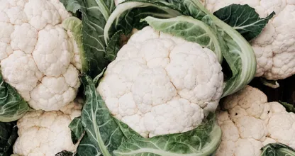 'Absurde' winter zorgt voor hele dure bloemkolen