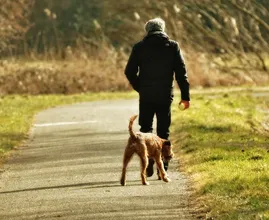 Haal de zomerjas maar tevoorschijn: dit weekend heerlijk lenteweer