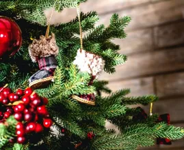Met deze tips is jouw kerstboom ook met kerst nog prachtig!