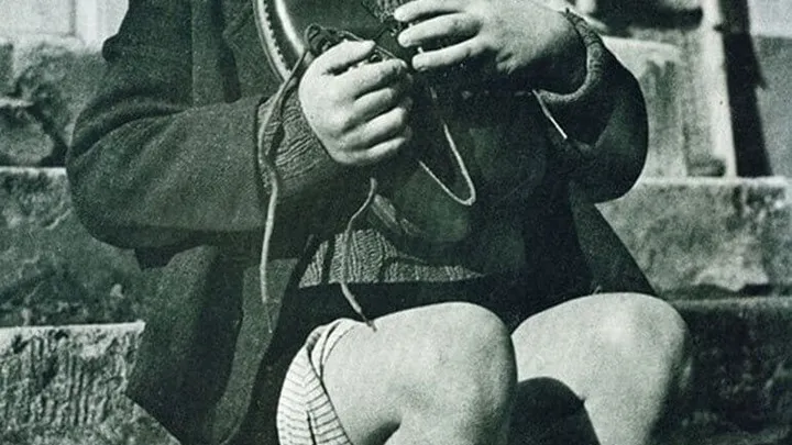 あなたの背筋を凍らせる衝撃的な写真15選
