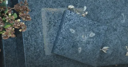 Afschuwelijk wat er op dit kerkhof in Geleen is gebeurd... Wie heeft iets gezien? Delen svp!
