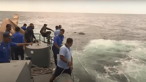 Imágenes impactantes: la Marina se encuentra cara a cara con una gigantesca criatura en el agua