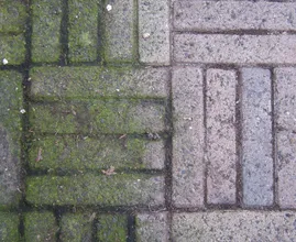 Removing green stains from patio tiles? With this trick, it is very simple! You really must try this!