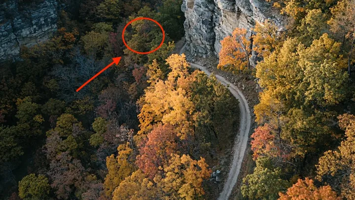 Ein Mann folgt einem verletzten Elch im Wald - was er dann entdeckt, stellt sein Leben auf den Kopf!