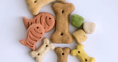 Wissen was drin ist: Hunde Leckerlis zum Selberbacken.