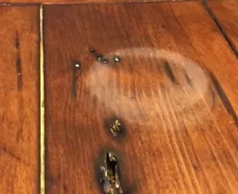 Forgot to use coasters? THIS is how you remove water marks from your wooden table!