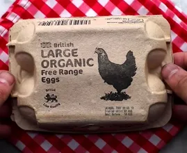 Geen aanmaakblokjes in huis voor de barbecue? Gebruik een eierdoos!