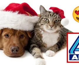 WOW: ein neuer echt genialer Weihnachtsartikel speziell für Haustiere von Aldi!