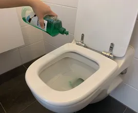 This is the brilliant reason why you should pour dish soap in your toilet!