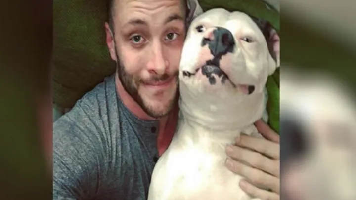 Una foto de un perro adoptado feliz era toda la evidencia que necesitaba la policía