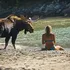 Une femme suit un élan dans la mer après qu'il se soit approché d'elle sur la plage
