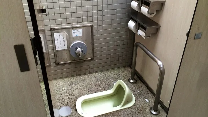 Why Do Japanese People Sit on the Toilet Facing Forward?
