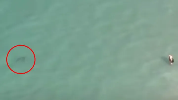 Momentos inapropriados capturados pela câmera de um drone