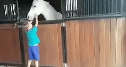 VIDEO: jongetje (7) verkocht twee jaar limonade om een pony te kunnen kopen, moet je zijn koppie zien toen hij hem kreeg!