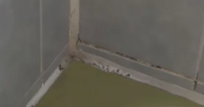 Mit diesen 2 natürlichen Zutaten reinigst du Silikonfugen im Bad schneller als mit chemischen Mitteln!