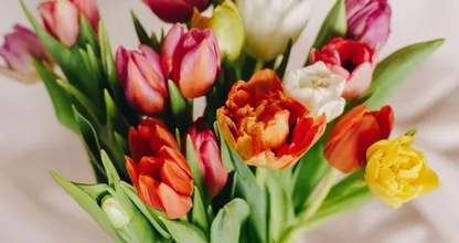 Handig: 7 tips om te voorkomen dat je tulpen gaan hangen