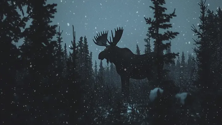 Moose Breaks Into Hospital—Nurse Brought to Tears by What She Sees on its Antlers.