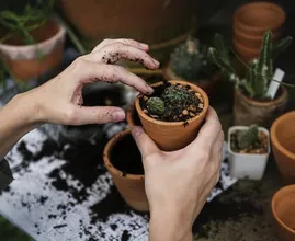 Van schoffelen tot bloemen planten: dit doet tuinieren voor je mentale gezondheid