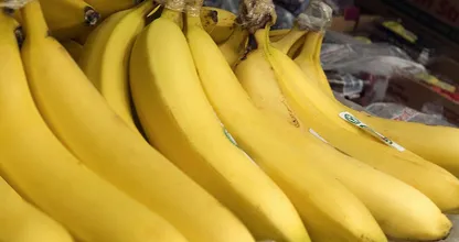 True or false: Do bananas really cause constipation?