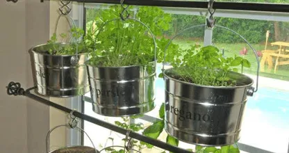 Albert Heijn moestuintje weten te bemachtigen? Dit zijn leuke ideeën voor een kruidentuintje in de keuken!