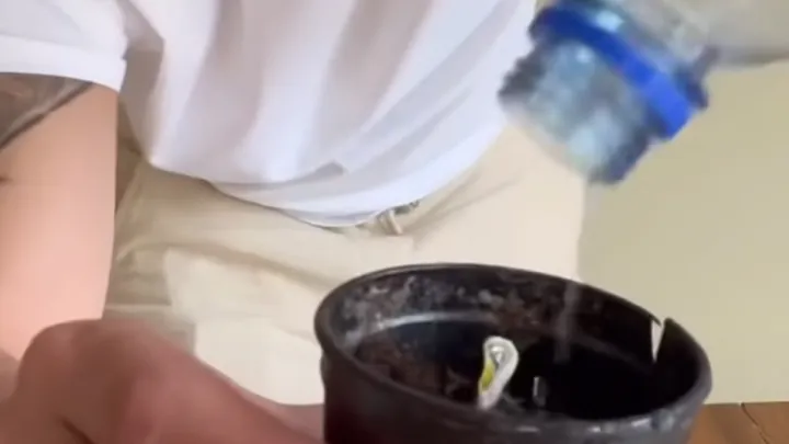 Sie legte einen Zitronenkern in ein Glas Wasser und du glaubst nicht, was passierte!