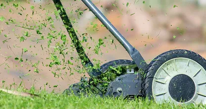 Aha: dít moet je dus doen om je gras dit jaar stralend groen te houden