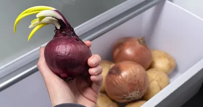 Want your onions to last for months? Avoid these two common storage mistakes