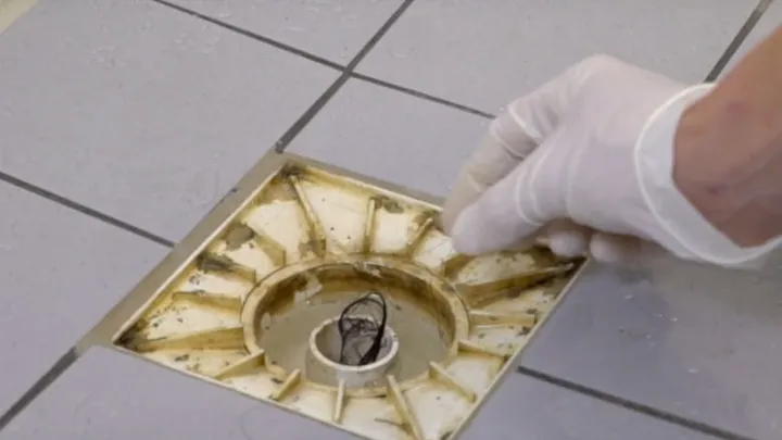 There's a reason why you're disgusted by hair in your shower drain